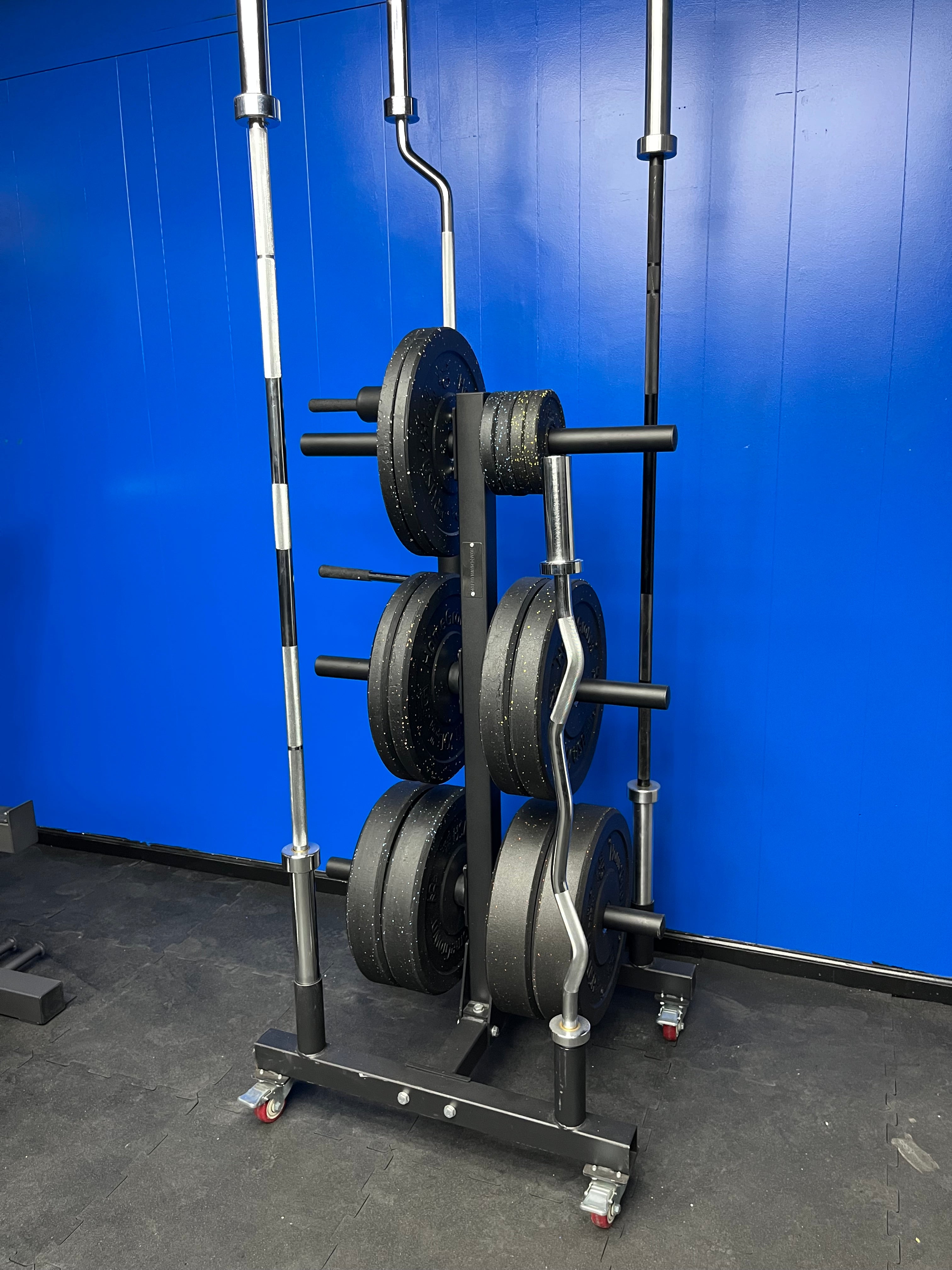 Lift Bar Racks HomeGrown Lifting | Mobile Plate Storage Rack w/Bar Sleeves – Homegrown ...